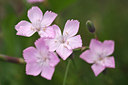 BUITEN BEELD Foto: 210813