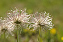 BUITEN BEELD Foto: 210815