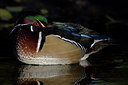 BUITEN BEELD Foto: 210831