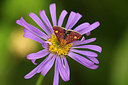 BUITEN BEELD Foto: 210847