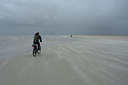 BUITEN BEELD Foto: 210904