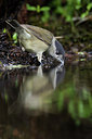 BUITEN BEELD Foto: 210943