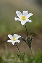 BUITEN BEELD Foto: 210964