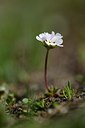 BUITEN BEELD Foto: 211016