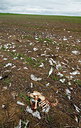 BUITEN BEELD Foto: 211034