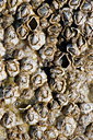 BUITEN BEELD Foto: 211055