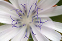 BUITEN BEELD Foto: 211119