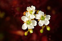 BUITEN BEELD Foto: 211121