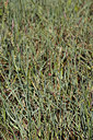 BUITEN BEELD Foto: 211155