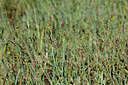 BUITEN BEELD Foto: 211156