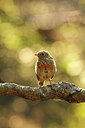 BUITEN BEELD Foto: 211161