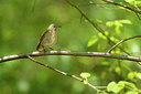 BUITEN BEELD Foto: 211170