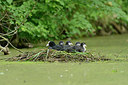 BUITEN BEELD Foto: 211185