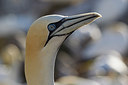 BUITEN BEELD Foto: 211279