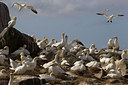 BUITEN BEELD Foto: 211292