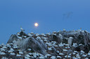 BUITEN BEELD Foto: 211312