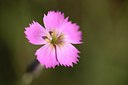 BUITEN BEELD Foto: 211322