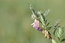BUITEN BEELD Foto: 211324