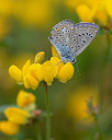 BUITEN BEELD Foto: 211337