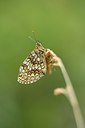 BUITEN BEELD Foto: 211386