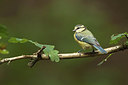 BUITEN BEELD Foto: 211492