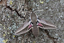 BUITEN BEELD Foto: 211530