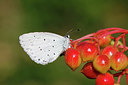 BUITEN BEELD Foto: 211538