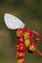 BUITEN BEELD Foto: 211541