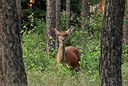 BUITEN BEELD Foto: 211577