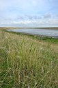 BUITEN BEELD Foto: 211748