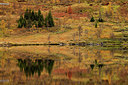 BUITEN BEELD Foto: 211817