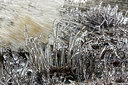BUITEN BEELD Foto: 211907
