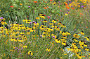 BUITEN BEELD Foto: 211914