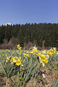 BUITEN BEELD Foto: 212027
