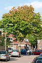 BUITEN BEELD Foto: 212045