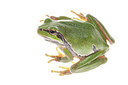 BUITEN BEELD Foto: 212059