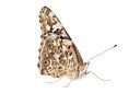 BUITEN BEELD Foto: 212082