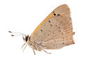 BUITEN BEELD Foto: 212098