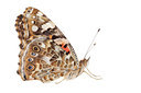 BUITEN BEELD Foto: 212109