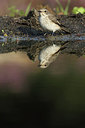 BUITEN BEELD Foto: 212187