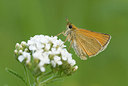 BUITEN BEELD Foto: 212235