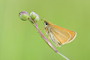 BUITEN BEELD Foto: 212239