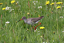 BUITEN BEELD Foto: 212290