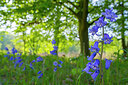 BUITEN BEELD Foto: 212338