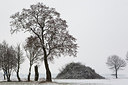 BUITEN BEELD Foto: 212357