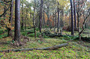 BUITEN BEELD Foto: 212365
