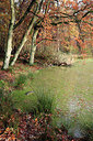 BUITEN BEELD Foto: 212412