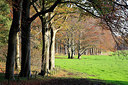 BUITEN BEELD Foto: 212418