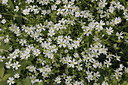 BUITEN BEELD Foto: 212460
