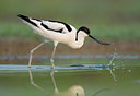 BUITEN BEELD Foto: 212500